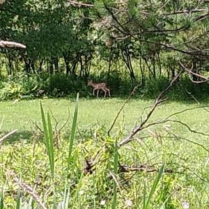 Meet your Posher, Nikki